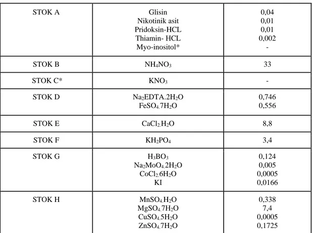 Çizelge 3.1. MS stok solüsyonları içeriği (gr/100 ml).  STOK A  Glisin  Nikotinik asit  Pridoksin-HCL  Thiamin- HCL  Myo-inositol*  0,04 0,01 0,01  0,002 -  STOK B  NH4NO3  33   STOK C*  KNO3  -  STOK D  Na2EDTA.2H2O  FeSO4.7H2O  0,746 0,556  STOK E  CaCl2