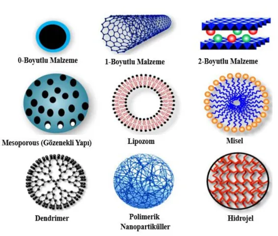 Şekil 2.6. Nanopartikül çeşitleri (Senapati vd., 2018). 