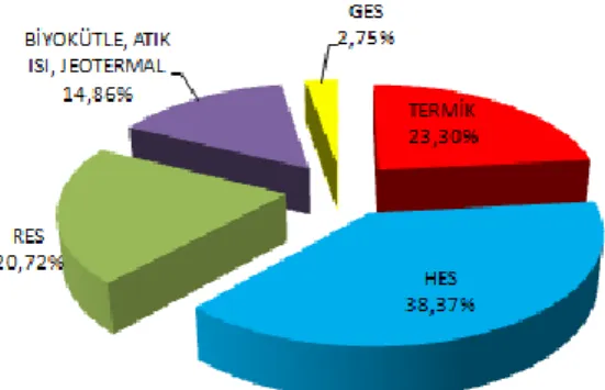 Şekil 1. 2018 Yılı Enerji Yatırım Oranları 