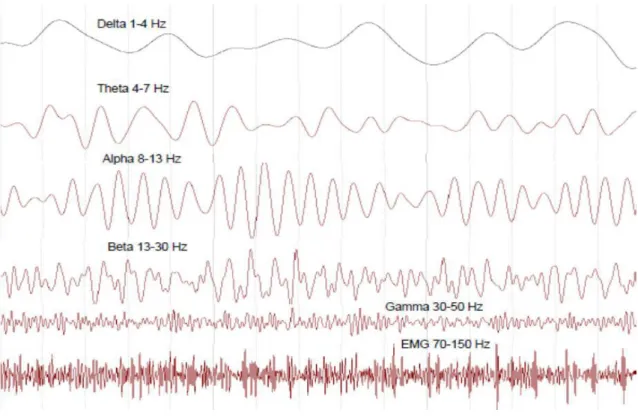 Şekil 2.5. Beta, alfa, teta ve delta bandı frekans aralığı (Aykaç, 2015).  2.3. EEG Cihazı 