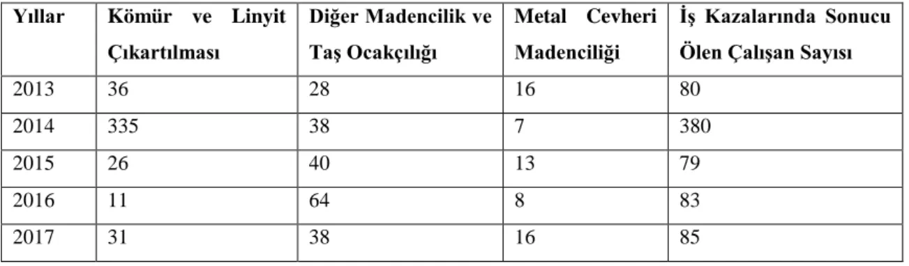 Çizelge  2.1.  Madencilik Sektöründe İş Kazaları Sonucu Yaşanan Ölümlerin İşyerinin Faaliyet  Gruplarına Dağılımı