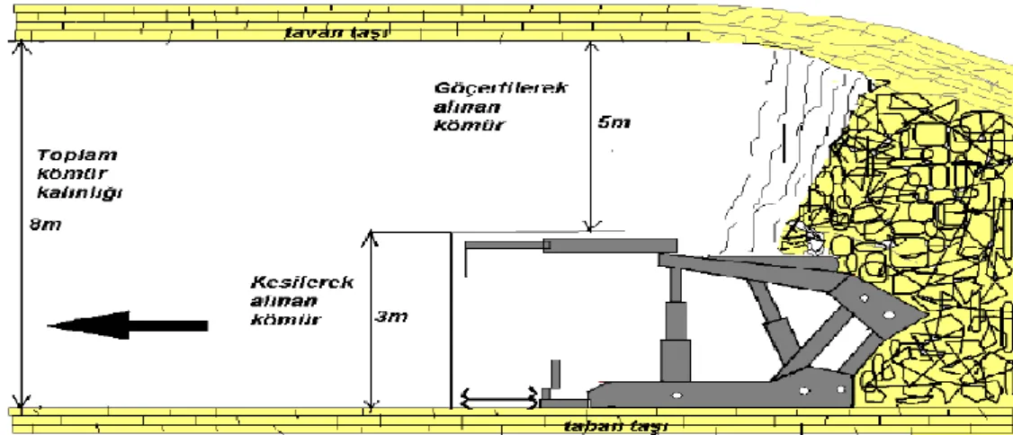 Şekil 5.3. Mekanize sistem üretim yöntemi kesit görünümü (GLİ Arşiv). 