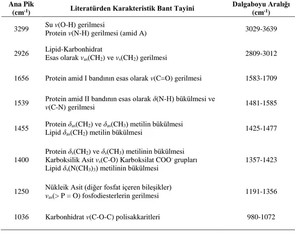 Çizelge 7.1. Chlorella vulgaris FT-IR spekturumunun piklerinin yorumlanması.  Ana Pik 