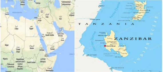 Şekil 2.1. Tanzanya coğrafi konum. 