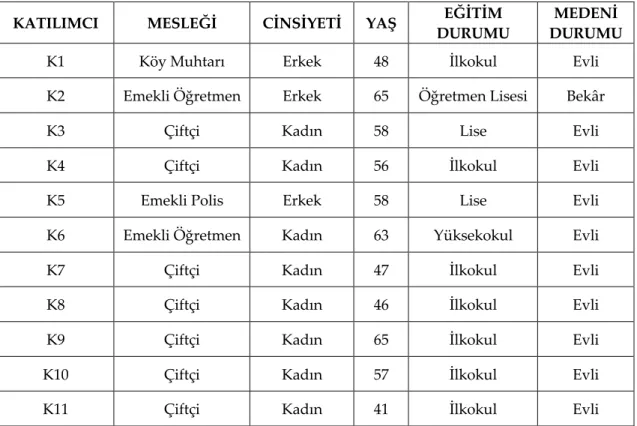 Tablo 1: Demografik Özellikler 