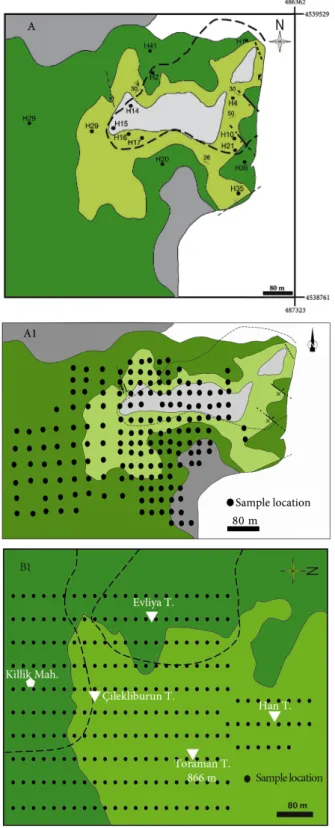Figure 2. A: Geological maps of Harşit-Köprübaşı (A) and 
