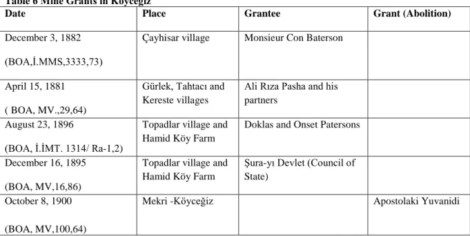 Table 6 Mine Grants in Köyceğiz 