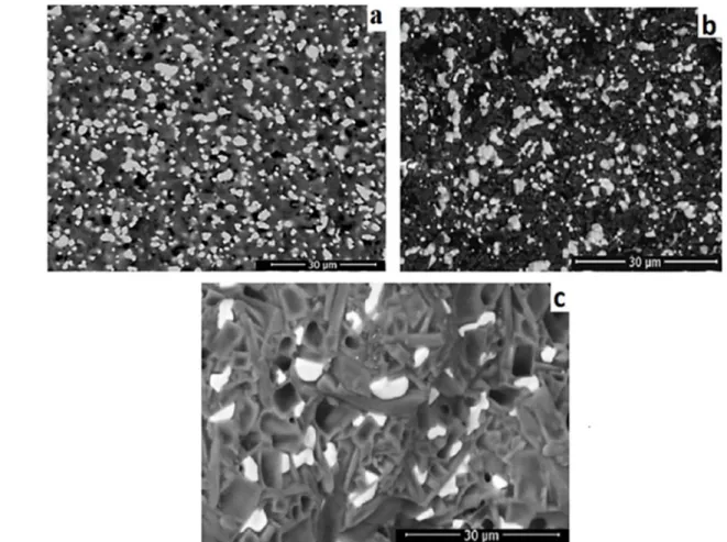 Fig. 3. Microstructure of MZ045, MZ050 and MZ055 specimens after sintering at 1550  o C for 5 h