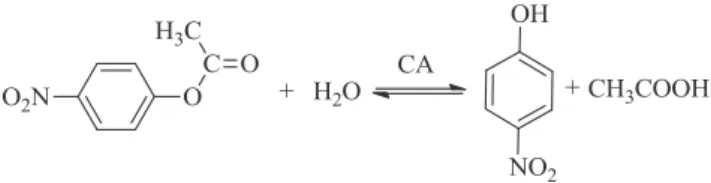 Figure 2 Lineweaver–Burk graphs of the compound 4 on CA I and CA II.