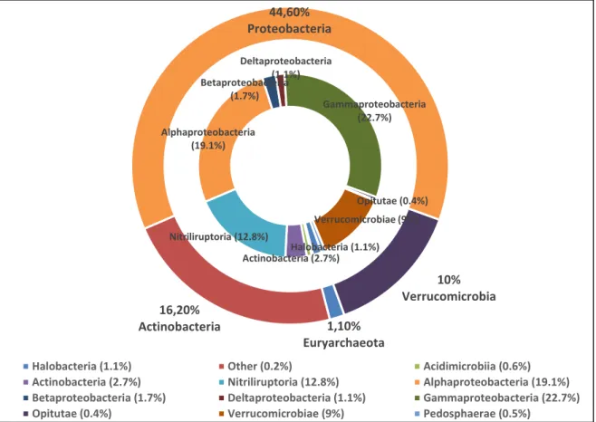 Figure 2. Microbial community compositions of Lake Van are displayed as double pie charts