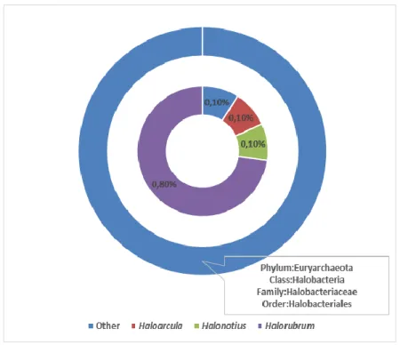 Figure 4. Archeal community structure of Lake Van 