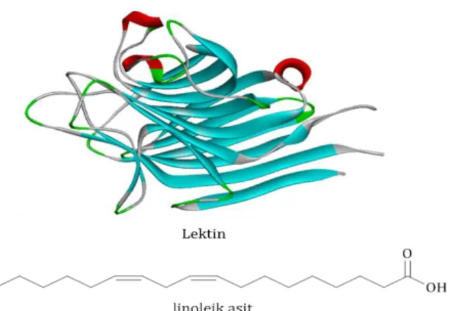 Şekil 8. β-D-glukan ve β-karoten moleküllerinin yapıları. 