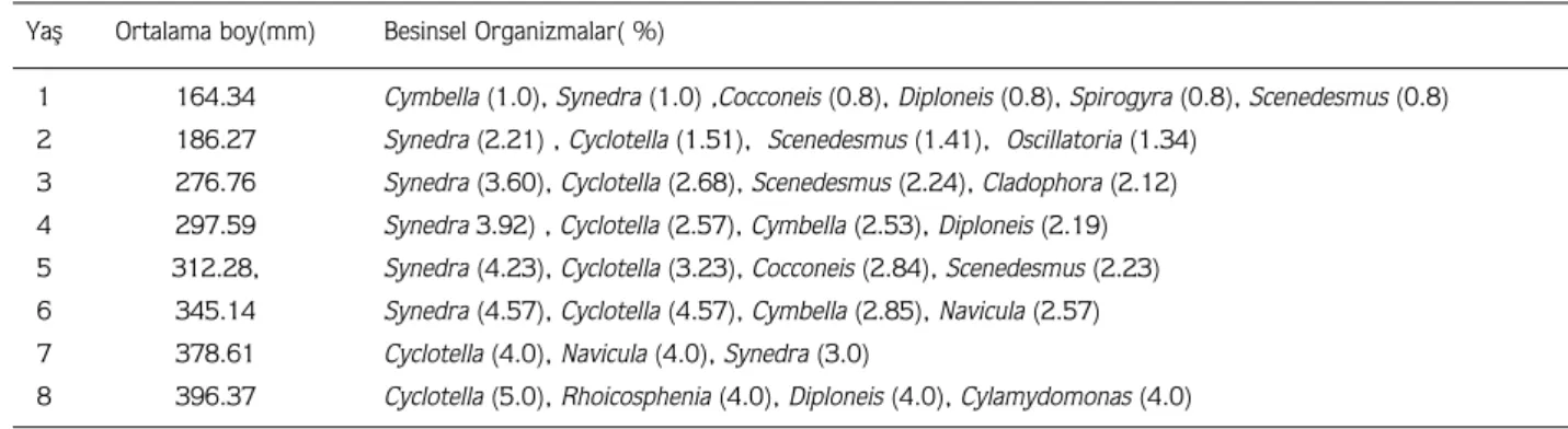 Tablo 3.  Besinsel organizmalar›n aylara göre de¤erlendirilmesi. Yafl Ortalama boy(mm) Besinsel Organizmalar( %)