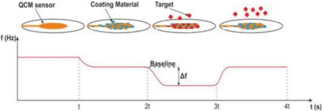 Figure 1. Resonance frequency shifts depending on mass accumulation.