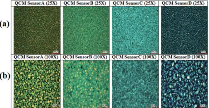 Figure 4. Surface photographs of the coated sensors under the electron microscope.