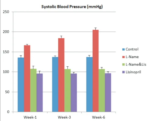 Table 1. Tail cuff systolic blood pressure (mmHg) values according to weeks (means ± SD)