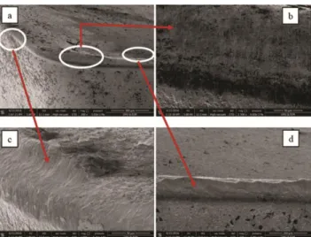 Fig.  3  —  SEM  image  of  cutting  insert  which  was  used  in   MQL + % 0.5 MoS 2