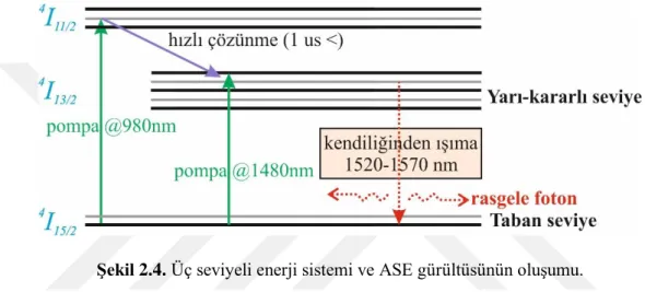 Şekil 2.4. Üç seviyeli enerji sistemi ve ASE gürültüsünün oluşumu. 