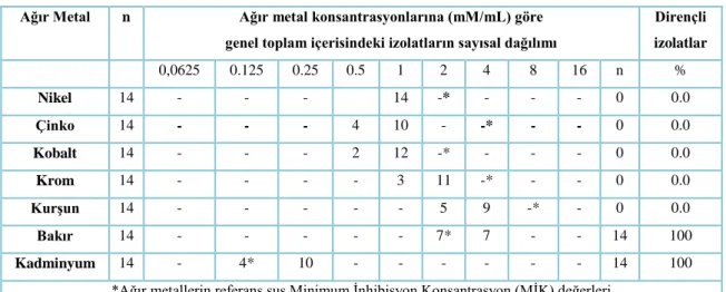 Çizelge 3.6. İzole edilen basillerin ağır metal toleranslılıklarının yüzdelik dağılımı