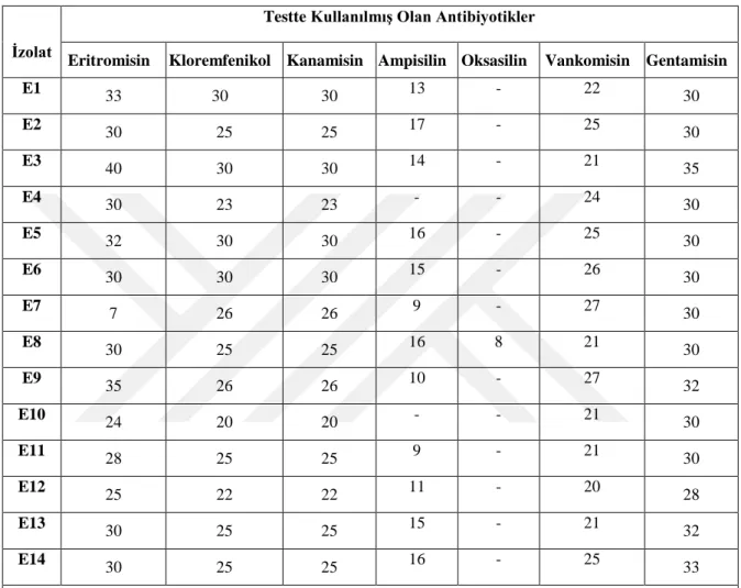 Çizelge 3.8. Basillerin test edilmiş olan antibiyotiklere karşı gösterdikleri inhibisyon zon çapları  (disk 6 mm)