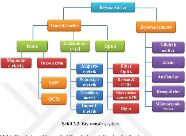 ġekil 2.2. Biyosensör çeĢitleri. 