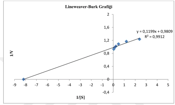 Şekil 5.5. Hardal tohumundan saflaştırılan lipazın Lineweaver-Burk grafiği. 