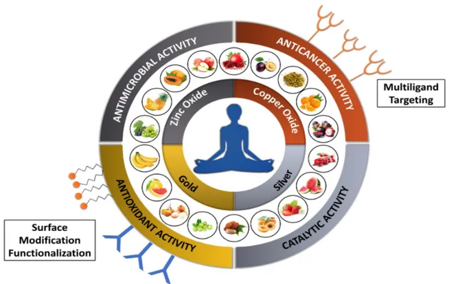 Figure 1. Graphical representation of fruit sources used for synthesizing nanoparticles with potential 