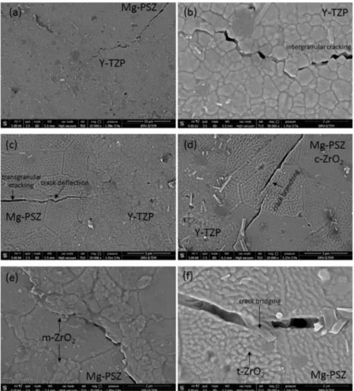 Fig. 5 (a), a crack propagation can be easily seen between the Mg- Mg-PSZ and Y-TZP regions in the composite sample