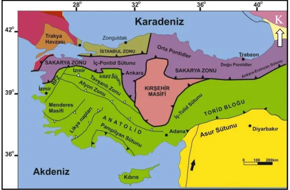 Şekil 2.6. Türkiyenin tektonik birlikleri (Okay ve Tüysüz, 1999’dan). 