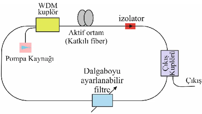 Şekil 1.2. Halka tipi kaviteye sahip fiber lazerin genel şematik diyagramı. 