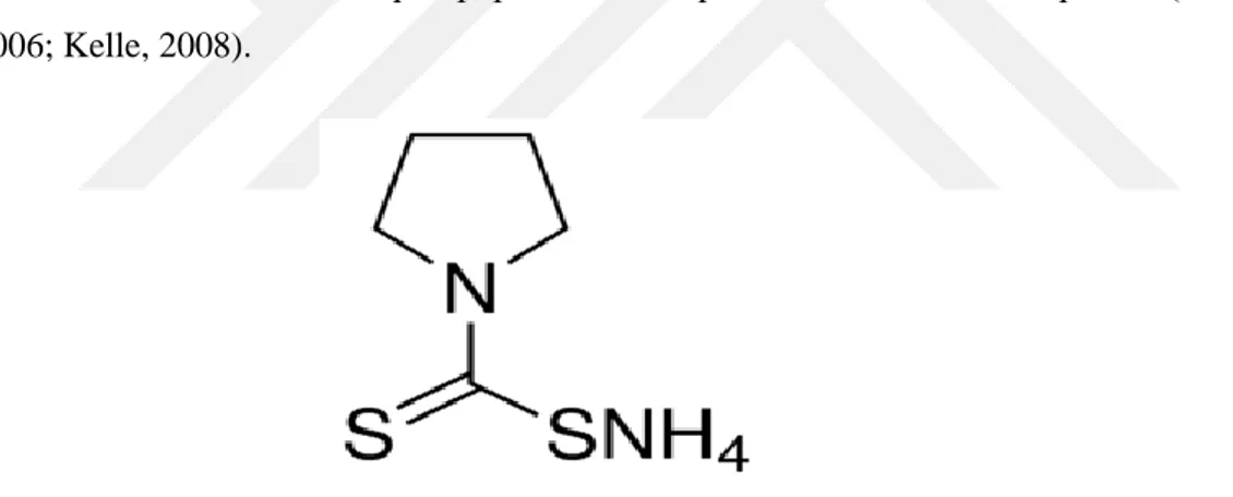 Şekil 2.5. Amonyum pirolidin dityokarbamat’ ın kimyasal yapısı (http://www.  sigmaaldrich.com/catalog/product/sigma/p8765?lang=en&amp;region=TR)