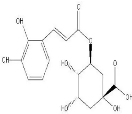 Şekil 1.1.Klorojenik asit. 