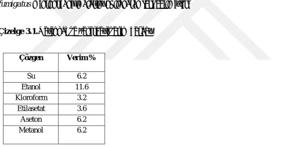 Çizelge 3.1.Yeşil kahve çekirdeğiverim hesabı. 