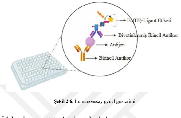 Şekil 2.6. İmmünoassay genel gösterimi. 