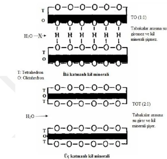 ġekil 2.5. Kil minerallerinin tabakalarının arasına su moleküllerinin giriĢinin mineralin tabakalı  yapısı ile iliĢkisi (w3.balikesir.edu.tr/~ozkan/ads/adsorpsiyon13.pps, 2008)