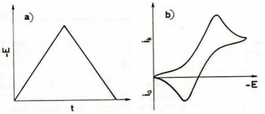 Şekil 2.7. a) Dönüşümlü voltametride elektrota uygulanan potansiyel programı b) Elde edilen  akım-potansiyel eğrisi (Yıldız vd., 1997)