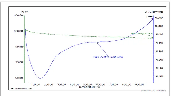 Şekil 3.   %5 Atık ilaveli çamur DTA-TG analizi. 