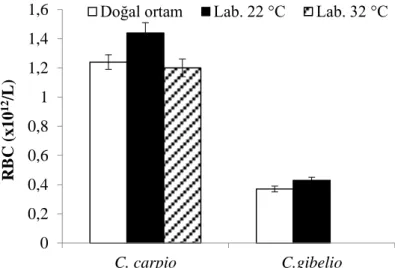 Şekil 1. Doğal ortam ve laboratuvar şartlarındaki C. carpio ve C. gibelio türlerinin RBC değerleri