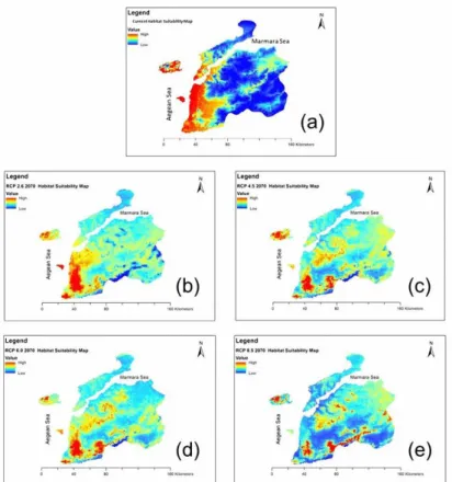 Figure 5. The suitable olive cultivation map of Çanakkale, (a) current distributions, (b) RCP 2.6  (2070) scenario, (c) RCP 4.5 (2070) scenario (d) RCP 6.0 (2070) scenario (e) RCP 8.5 (2070) 