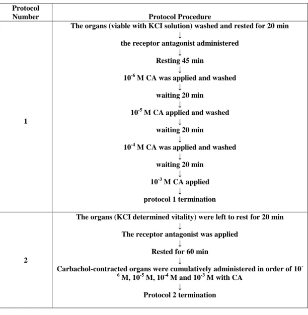 Table  1.    Protocols.  In  the  protocol  1,  antagonist  or  channel  blocker  substance  administration  after  each wash was performed and the 20 min incubation time was applied as  shown