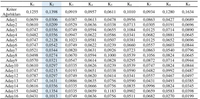 Tablo 9: Normalleştirilmiş Karar Matrisi ve Kriter Ağırlıkları 