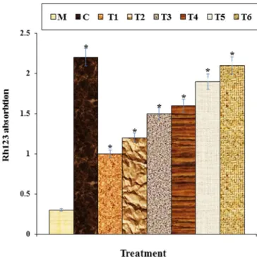 Figure 12.  The mitochondrial membrane potential of different treatments after 48 h. M: Methadone, C: 