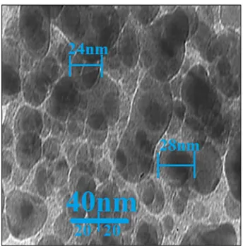 Figure 2.  TEM image of copper nanoparticles.