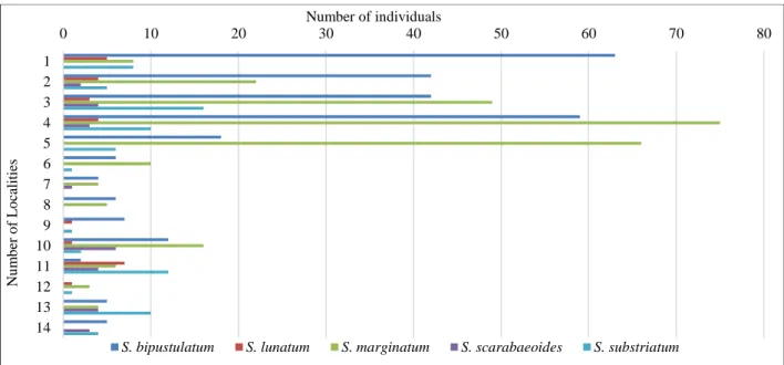 Fig. 4. Total number of specimens for each species collected in localities during the study