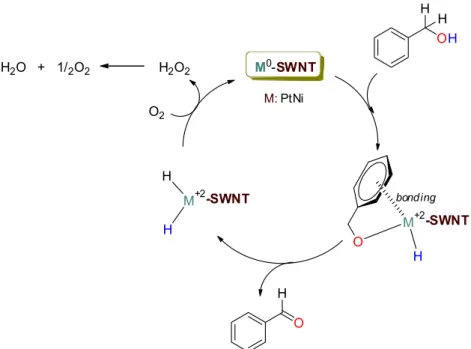 Figure 8.  Proposed mechanism for the oxidation reaction.