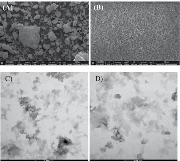 Figure 3.  SEM images of Aluminum oxy-hydroxide-supported palladium nanoparticles (A) before the 