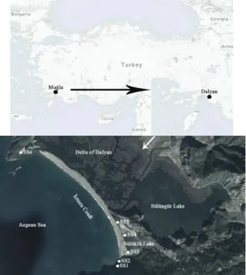Fig. 1: Overall view of Sampling Location (SS = Sampling Sites).