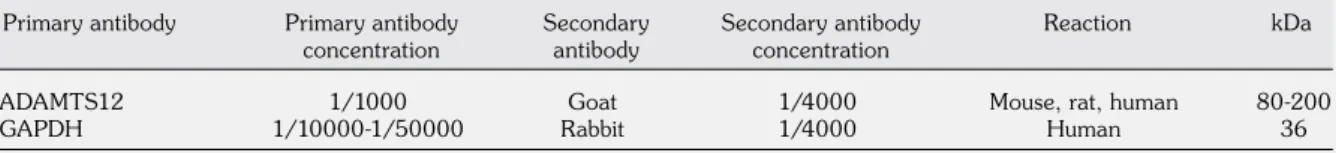 Table 2. Primary and secondary antibodies used for ADAMTS12 Western blot analyses