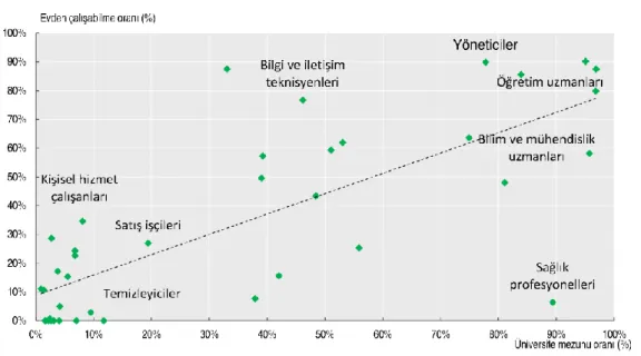 Şekil 1: Evden çalışabilme ile üniversite mezunlarının payları 