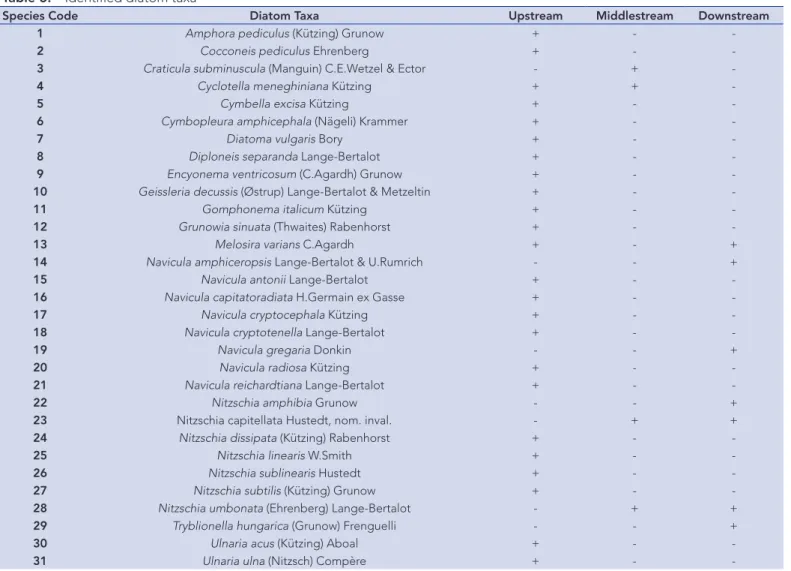 Table 3.  Identified diatom taxa